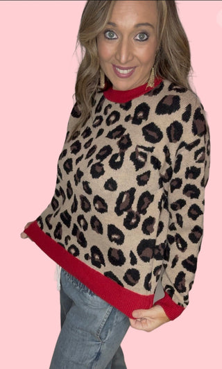 Cheetah Sweater